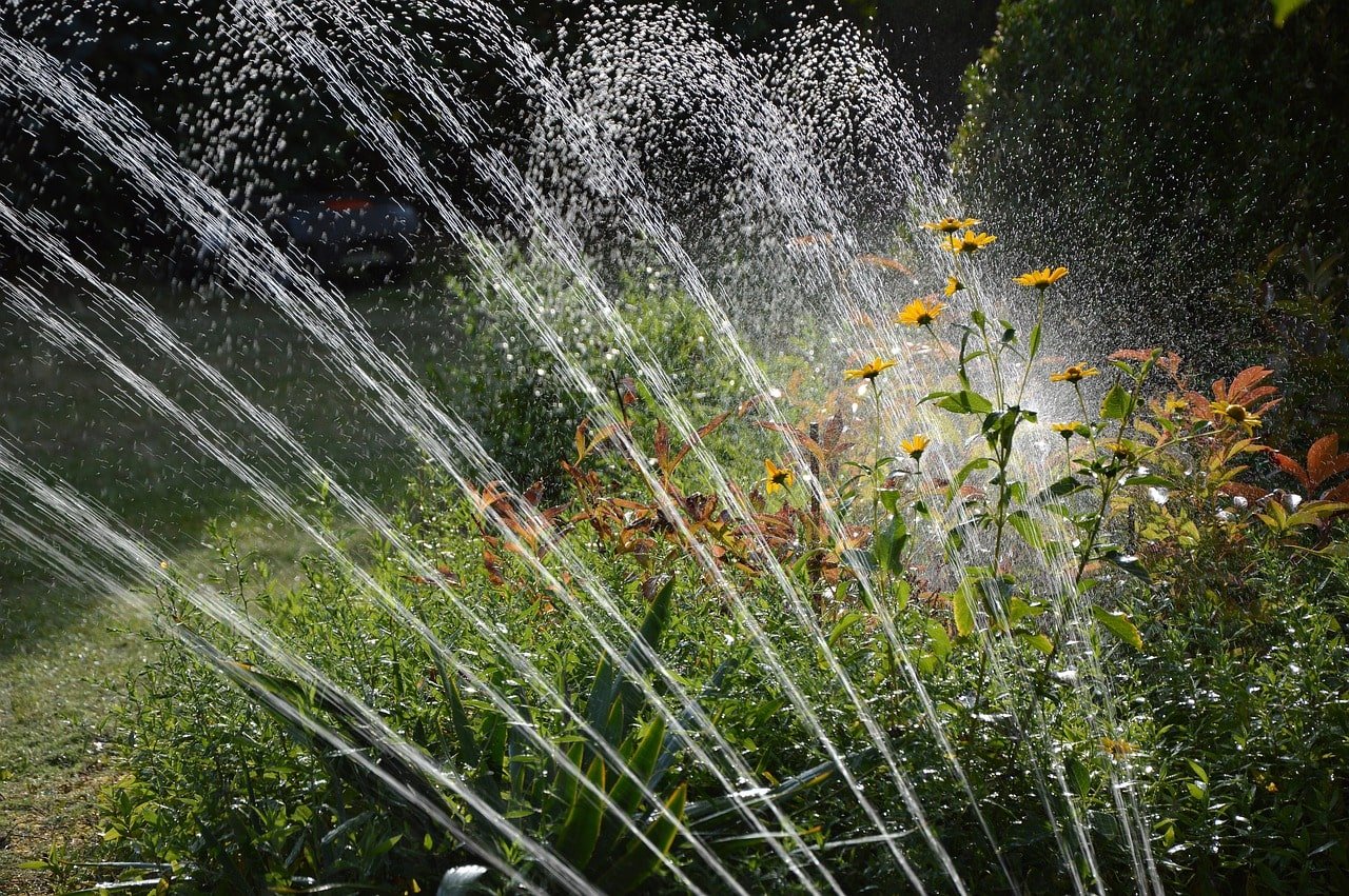 Irrigation-min
